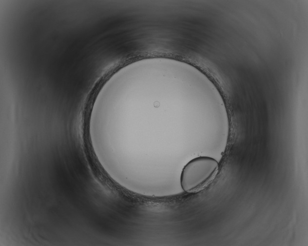 X0000088140534200705141033