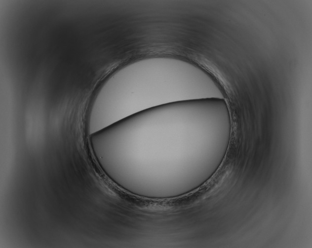 X0000088140537200705141033