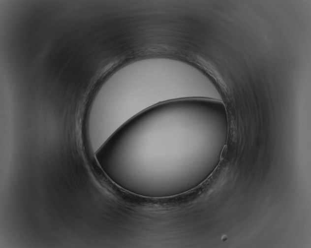X0000088140538200705141033