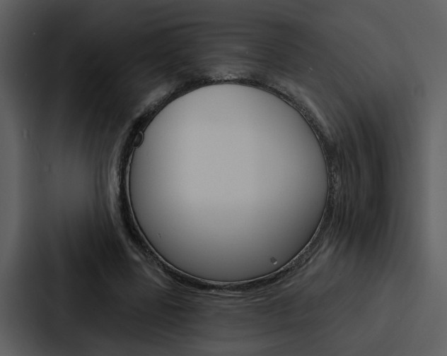 X0000088140539200705141033