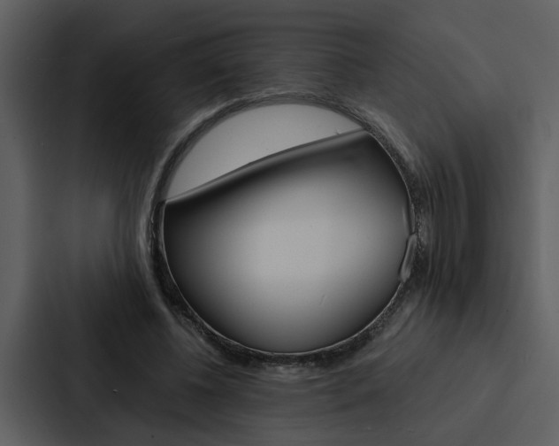 X0000088140540200705141033