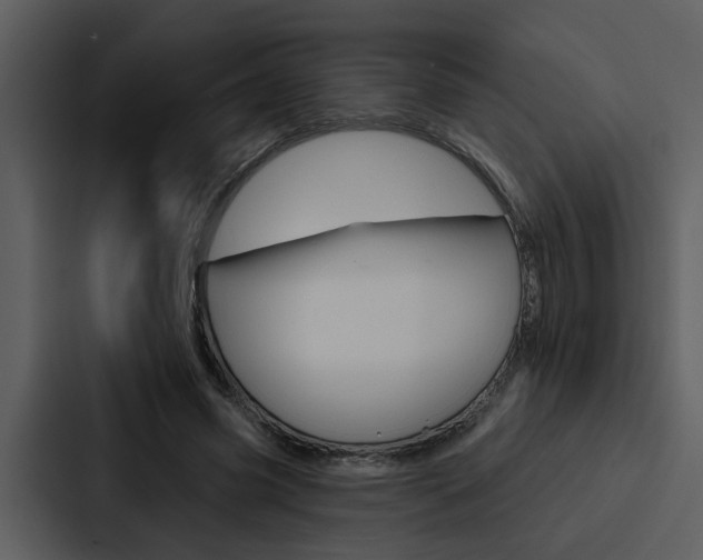 X0000088140541200705141033