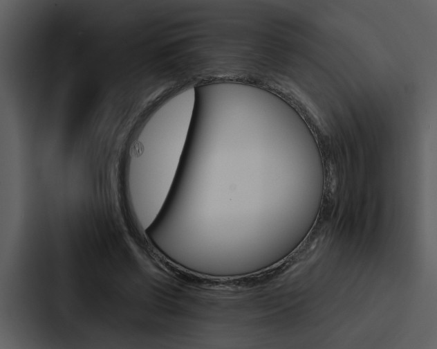 X0000088140542200705141033