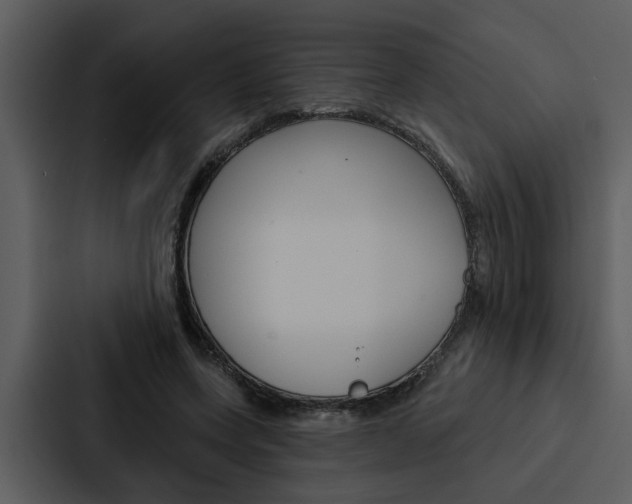X0000088140543200705141033