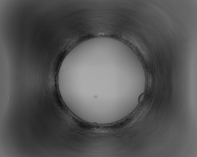 X0000088140545200705141034