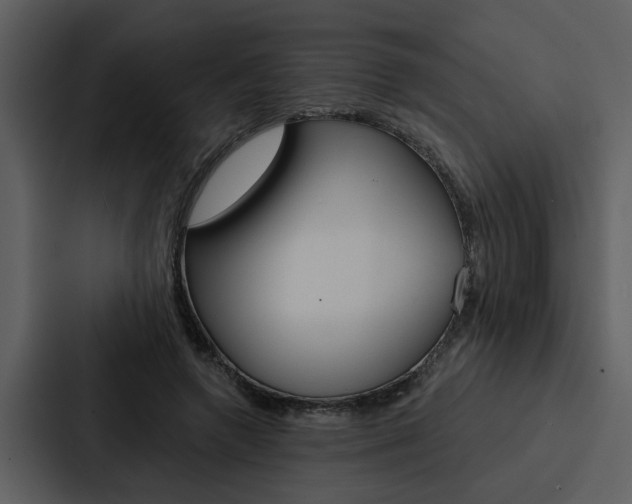 X0000088140546200705141034