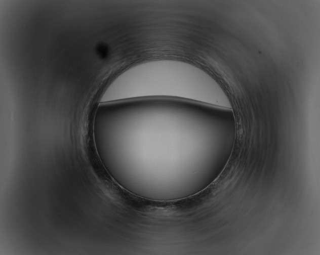 X0000088140548200705141034