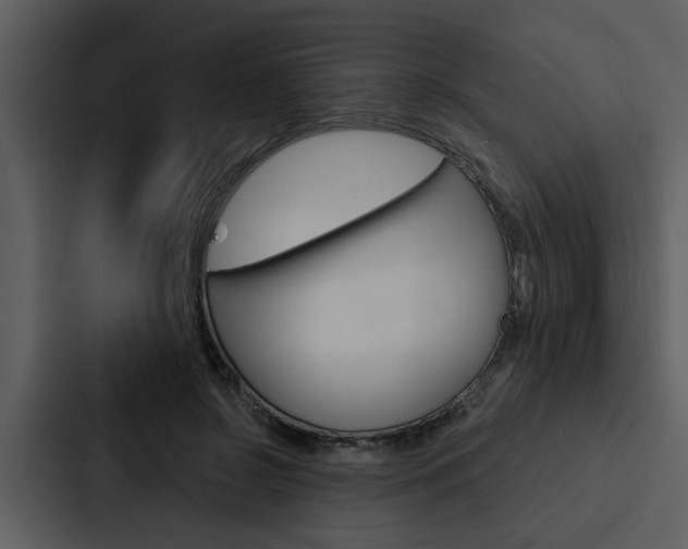 X0000088140550200705141034