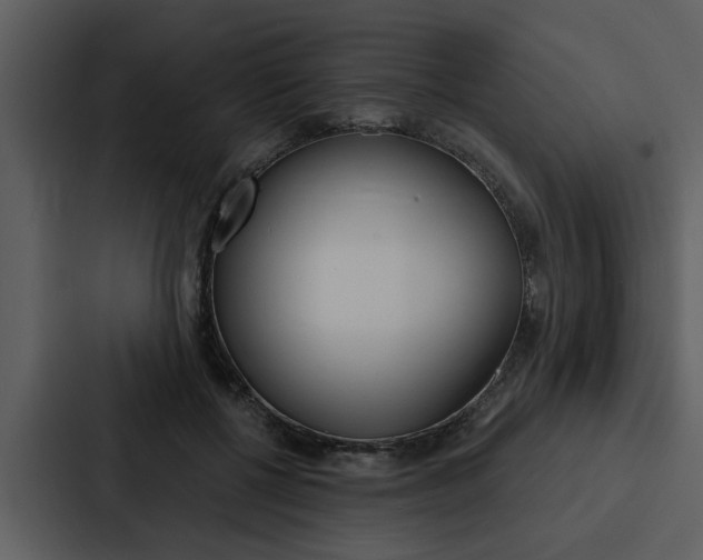 X0000088140552200705141034