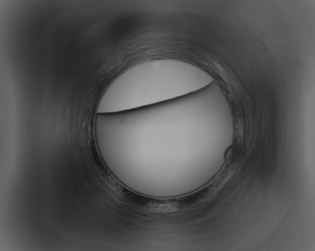X0000088140553200705141034