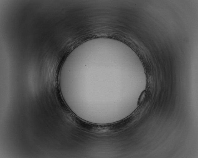 X0000088140554200705141034