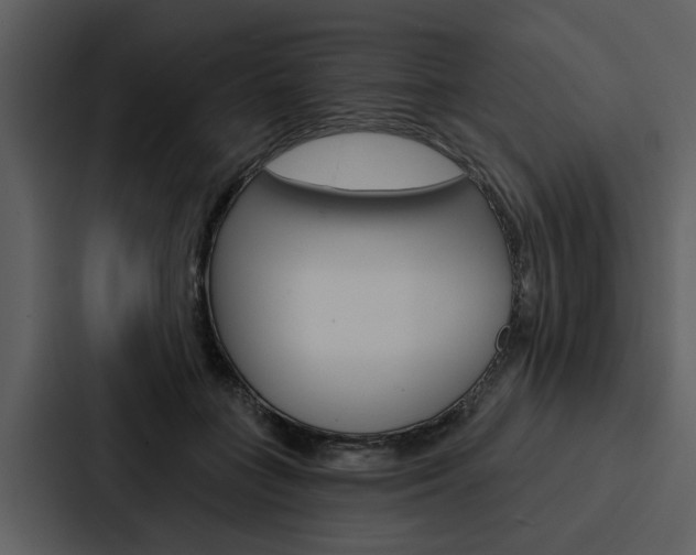 X0000088140555200705141034