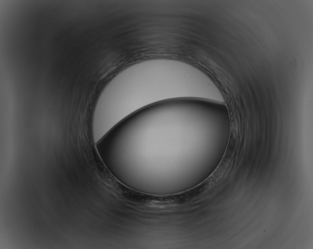 X0000088140556200705141034