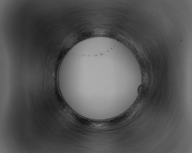 X0000088140557200705141034
