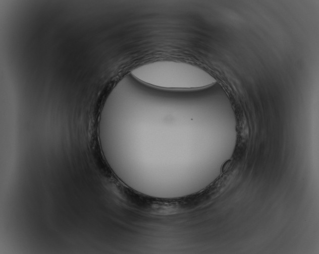 X0000088140559200705141034