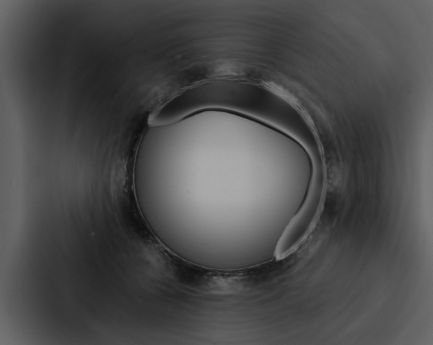 X0000088140560200705141034