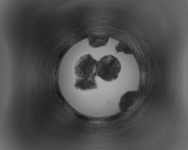 X0000088140561200705141034