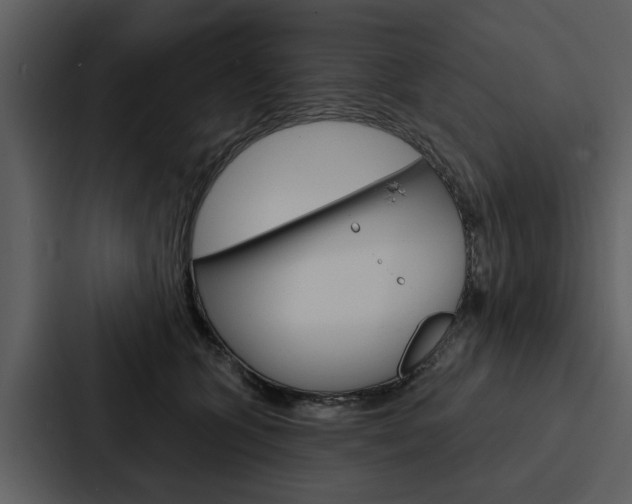 X0000088140563200705141034