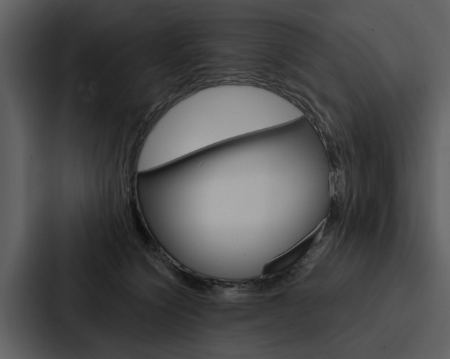 X0000088140564200705141034