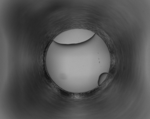 X0000088140565200705141034