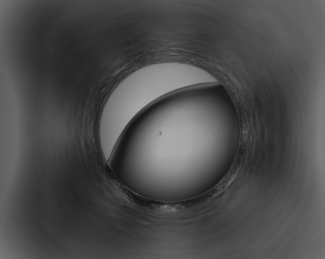 X0000088140566200705141034