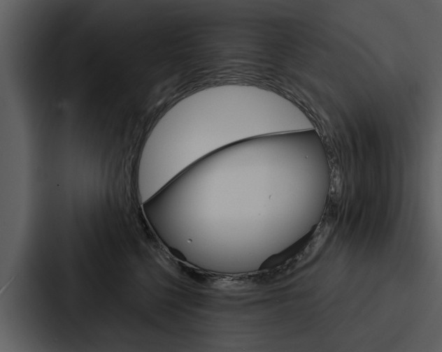 X0000088140568200705141034