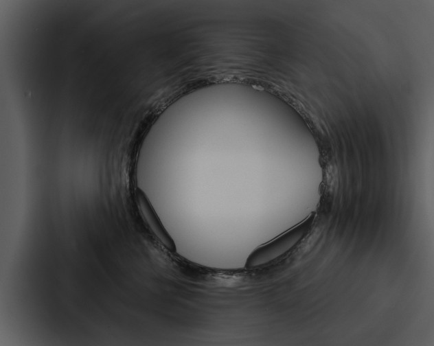 X0000088140570200705141034