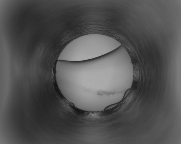 X0000088140573200705141034
