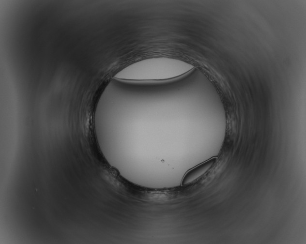 X0000088140574200705141034