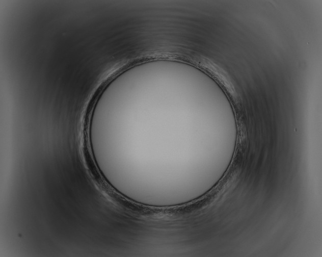 X0000088140578200705141033