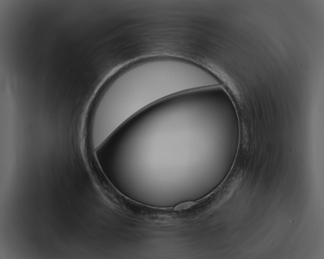 X0000088140580200705141033