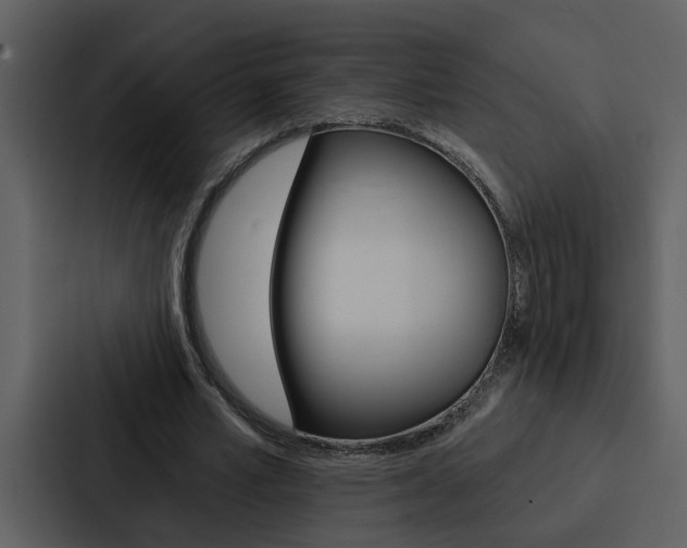 X0000088140581200705141033