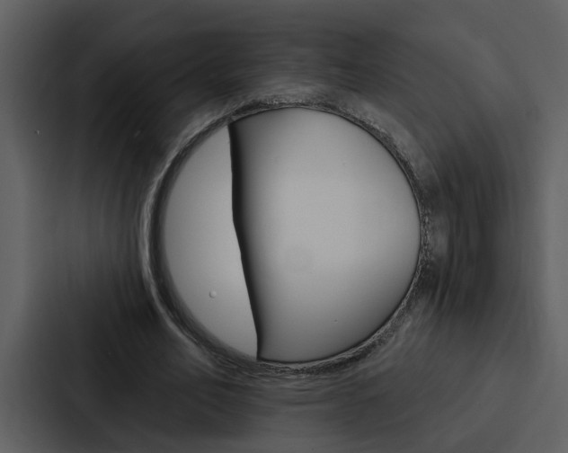 X0000088140582200705141033