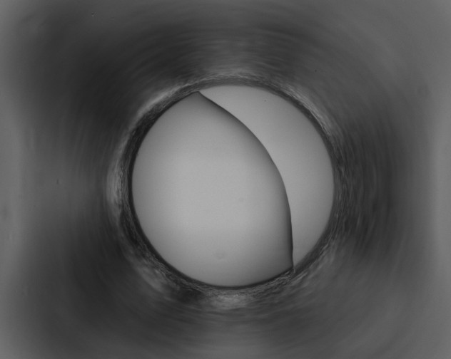X0000088140583200705141033