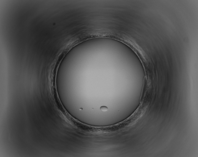 X0000088140585200705141033