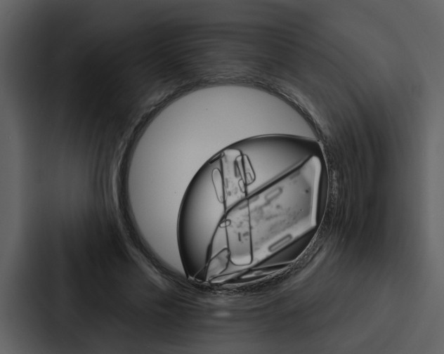 X0000088140589200705141033