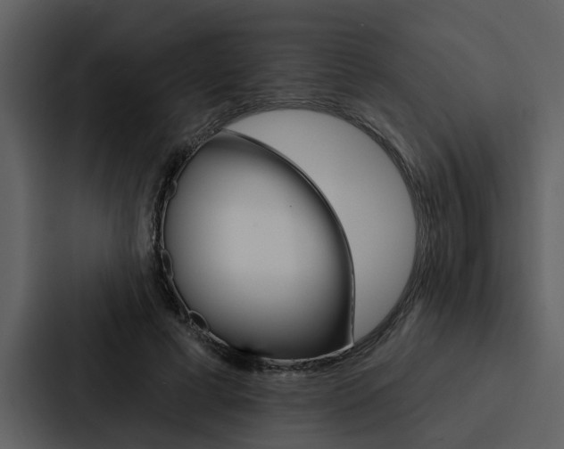 X0000088140593200705141033