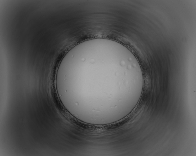 X0000088140594200705141033