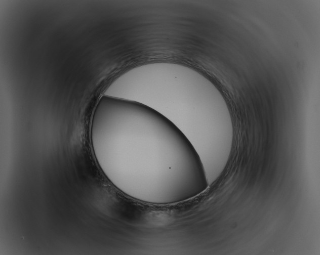 X0000088140595200705141033