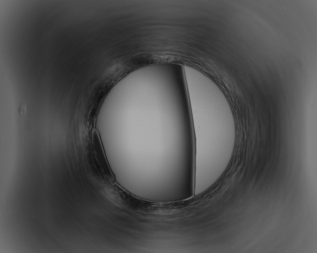 X0000088140601200705141033