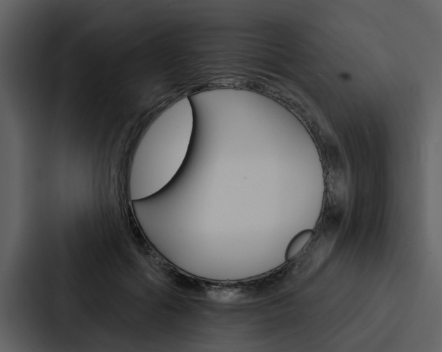 X0000088140602200705141033