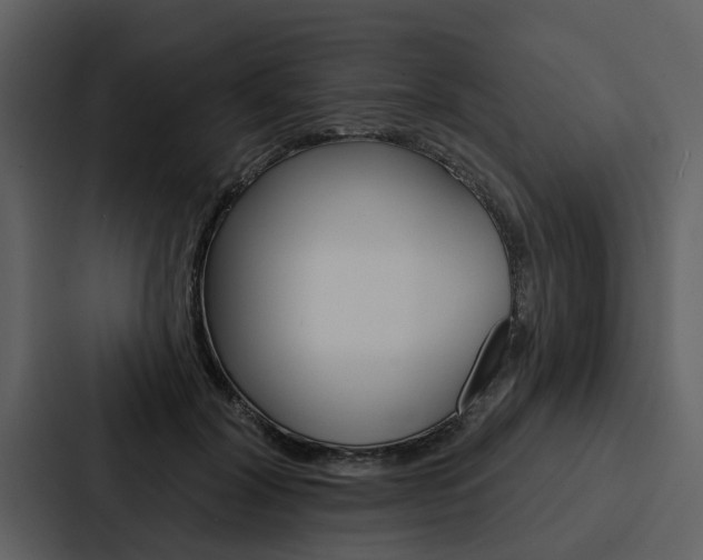 X0000088140604200705141033