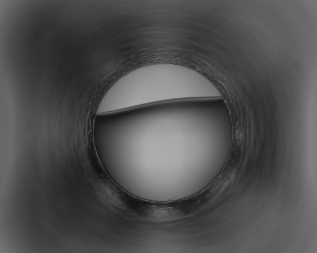 X0000088140605200705141033