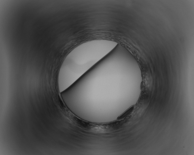 X0000088140611200705141033