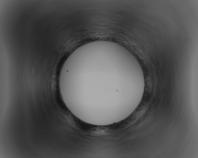 X0000088140612200705141033