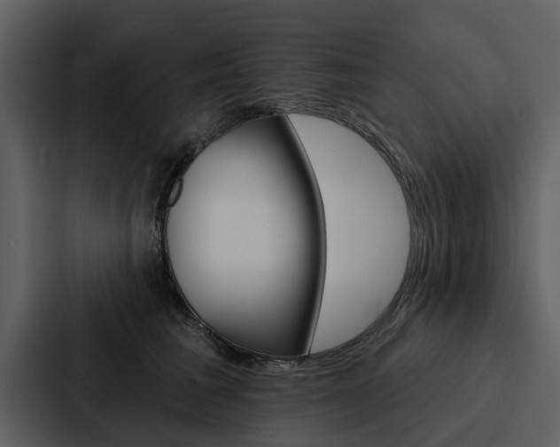 X0000088140613200705141033