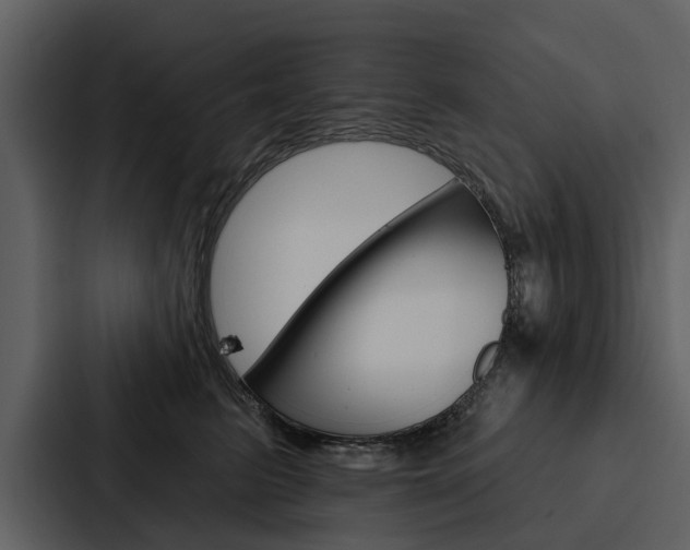 X0000088140615200705141033