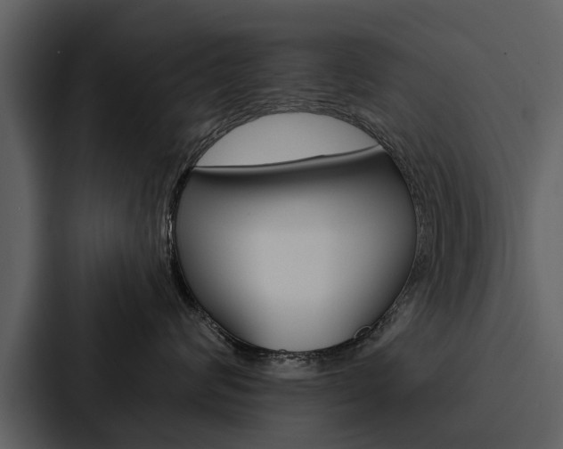 X0000088140624200705141033
