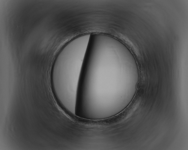 X0000088140625200705141032