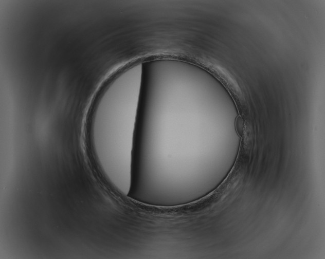 X0000088140628200705141032